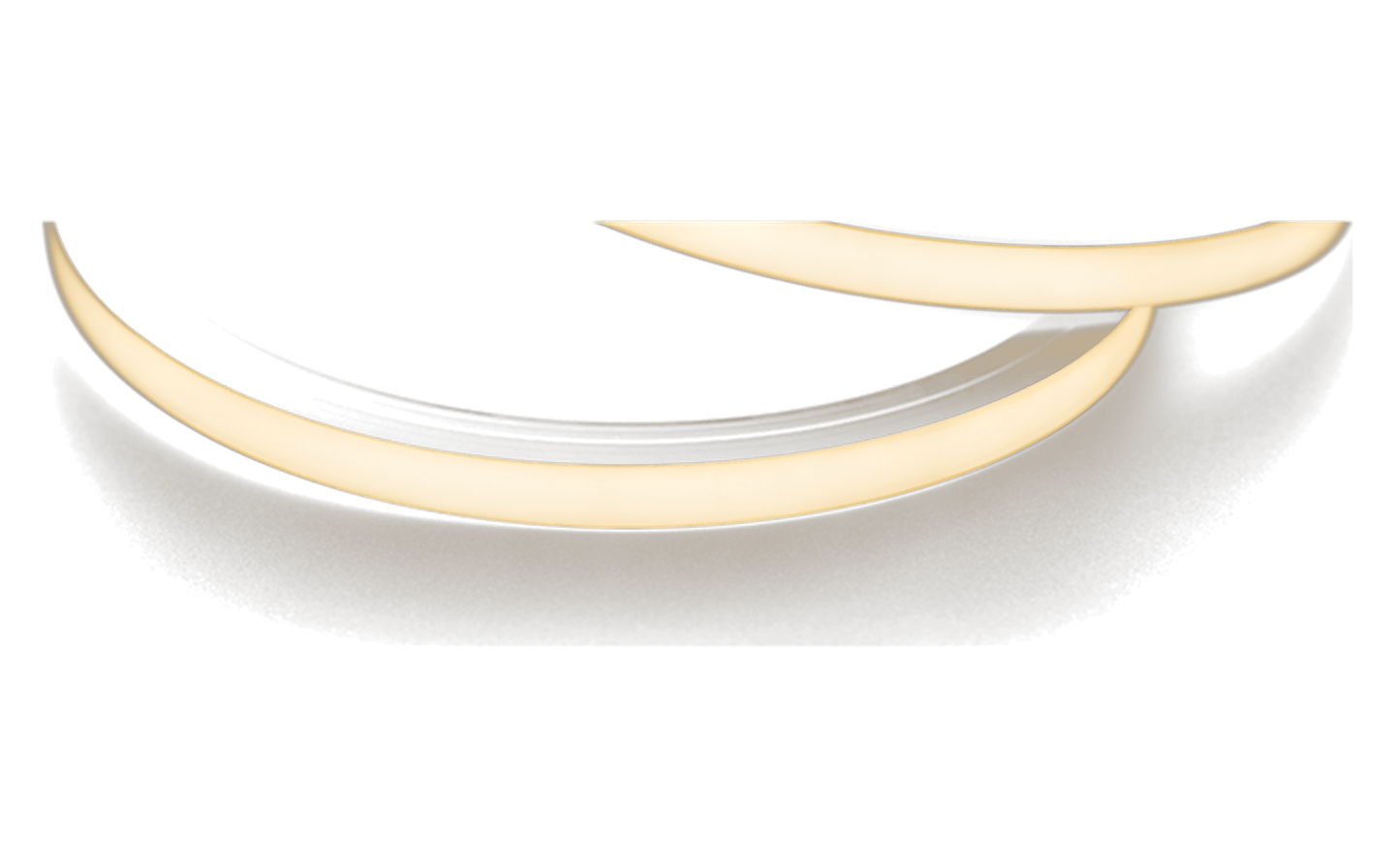 LXT 1010T Flex 제품 이미지